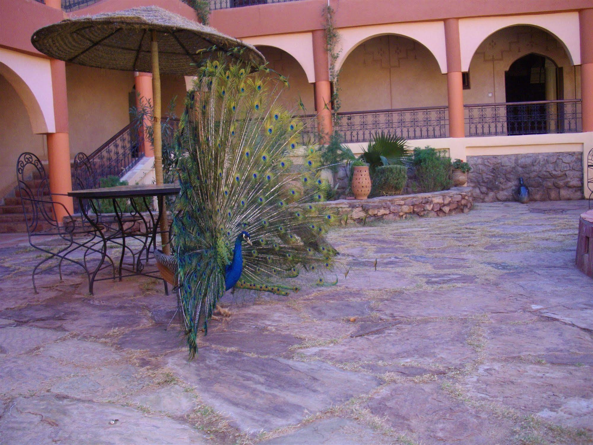 Kasbah Zitoune Tajda Exterior foto